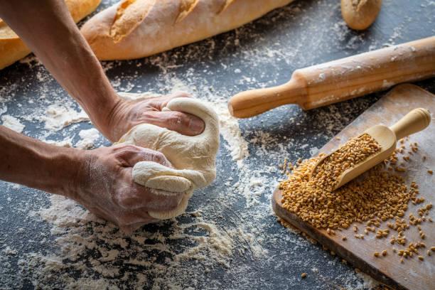 Baker kneading artisan dough